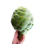 Fresh Artichoke